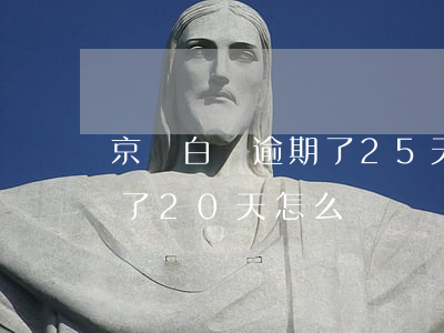 京東白條逾期了25天怎么辦(京東白條逾期了20天怎么辦)