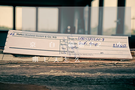 京東白條逾期了2個小時怎么辦(京東白條逾期1天怎么辦)