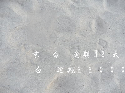 京東白條逾期了2天嚴(yán)重嗎（京東白條逾期22000）