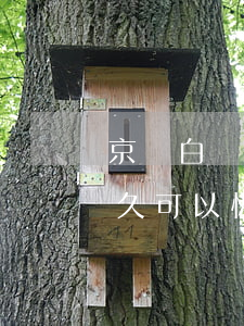 京東白條逾期了3000(京東白條逾期了多久可以恢復使用)