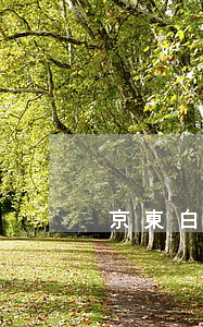 京東白條逾期了45天還清了