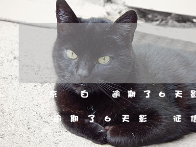 京東白條逾期了6天影響征信嗎-京東白條逾期了6天影響征信嗎怎么辦