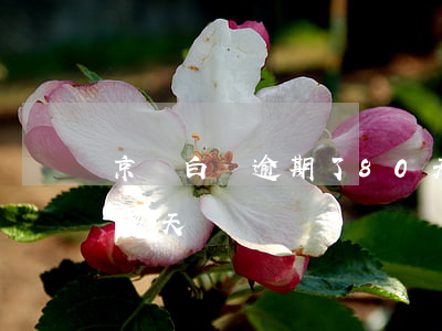 京東白條逾期了80天(京東白條逾期130多天)