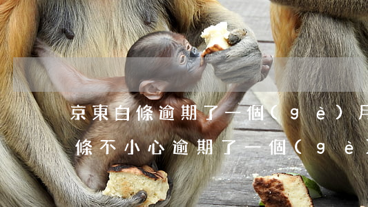 京東白條逾期了一個(gè)月咋辦 京東白條不小心逾期了一個(gè)月