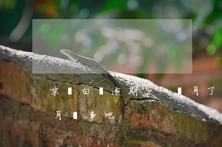 京東白條逾期了一個月了(京東白條逾期一個月沒事吧)