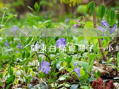 京東白條逾期了一小時(京東白條逾期了一小時)
