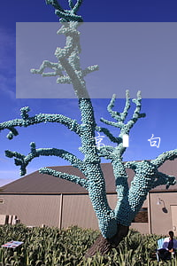 京東白條逾期了（京東白條逾期信息）