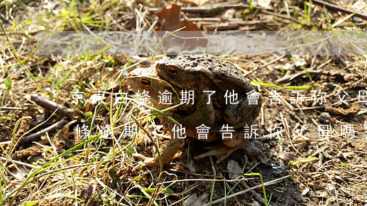 京東白條逾期了他會告訴你父母嗎-京東白條逾期了他會告訴你父母嗎知乎