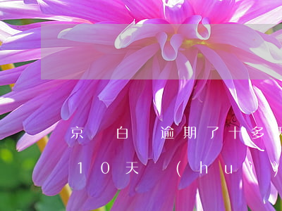 京東白條逾期了十多天上征信(京東白條逾期10天會(huì)上征信嗎)