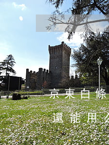 京東白條逾期了十天（京東白條逾期100天還能用么）