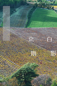 京東白條逾期了影響征信問題嗎（京東白條逾期會影響信譽(yù)分）
