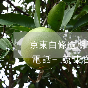 京東白條逾期了怎么協(xié)商打什么電話-京東白條三年沒(méi)還了5000多