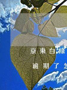 京東白條逾期了怎么恢復(fù) 京東白條逾期了怎么恢復(fù)