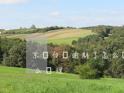 京東白條逾期了怎么處理(京東白條逾期了怎么處理)