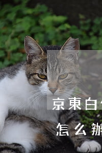 京東白條逾期了怎么辦分期（京東白條逾期了怎么辦）