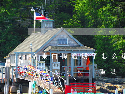 京東白條逾期了怎么還最低(京東白條逾期了嚴(yán)重嗎)