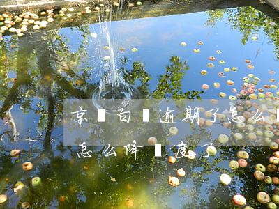 京東白條逾期了怎么還款（京東白條沒逾期過怎么降額度了）