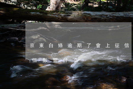 京東白條逾期了會上征信?（京東白條逾期上征信影響什么）
