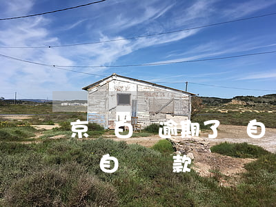 京東白條逾期了會自動還款嗎(京東白條到期會自動還款嗎)