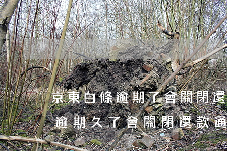 京東白條逾期了會關閉還款渠道么(京東白條逾期久了會關閉還款通道嗎)