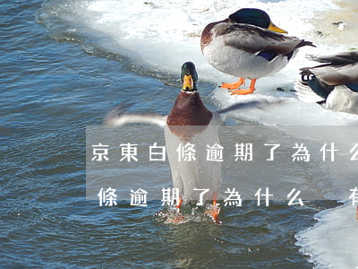 京東白條逾期了為什么沒有上征信-京東白條逾期了為什么沒有上征信記錄