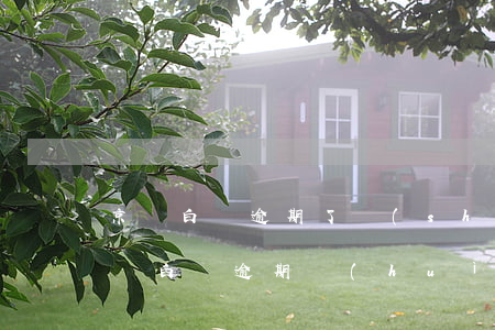 京東白條逾期了說(shuō)要上門了 京東白條逾期會(huì)上門