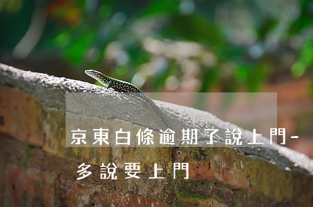 京東白條逾期了說上門-京東白條逾期1千多說要上門