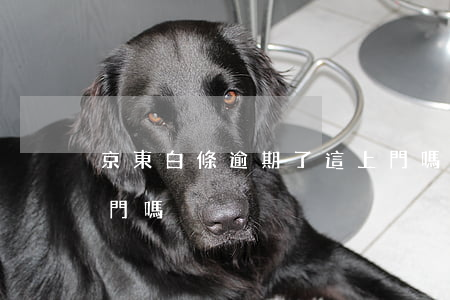 京東白條逾期了這上門嗎(京東白條逾期會上門嗎?)