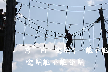 京東白條逾期了還能不能在分期了（京東白條逾期能不能分期）