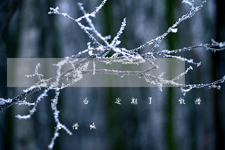 京東白條逾期了還能借錢嗎（京東白條逾期可以借嘛）