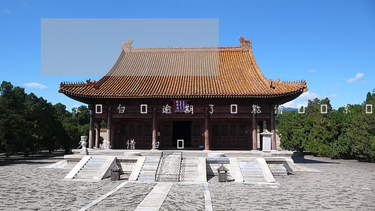京東白條逾期了還能借錢嗎（京東白條逾期多久能借白條）