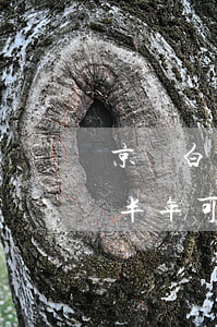 京東白條逾期了還能坐高鐵嗎(京東金融逾期半年可以乘坐飛機(jī)高鐵嗎?)