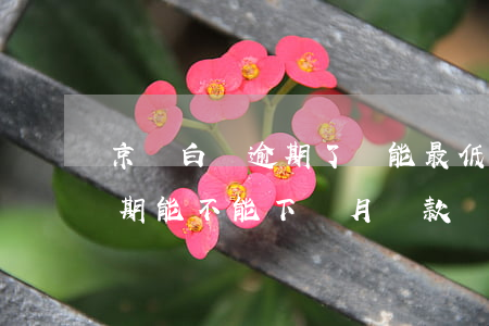京東白條逾期了還能最低還款嗎（京東白條逾期能不能下個月還款）