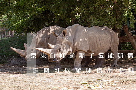 京東白條逾期了還能辦信用卡嗎(京東白條有逾期可以辦理信用卡嗎)