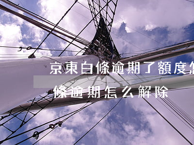 京東白條逾期了額度怎么要回來（京東金融白條逾期怎么解除）