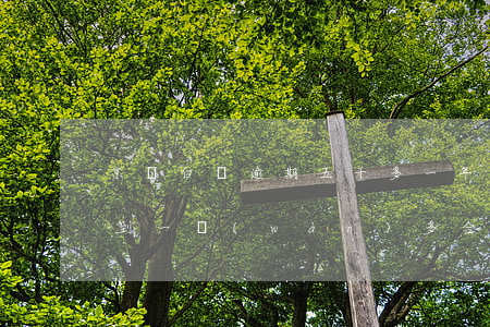 京東白條逾期五千多一年過(guò)后翻到一萬(wàn)多合理嗎（京東白條5千元逾期一年多少錢(qián)）