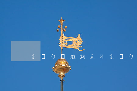 京東白條逾期五日(京東白條不小心逾期4天)