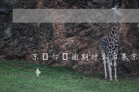 京東白條逾期什么后果(京東白條逾期有沒有事)