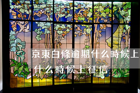 京東白條逾期什么時候上征信(京東白條逾期什么時候上征信)
