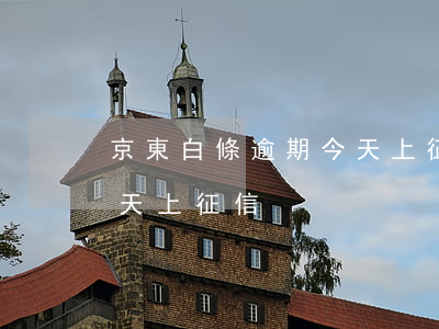 京東白條逾期今天上征信-京東白條逾期今天上征信