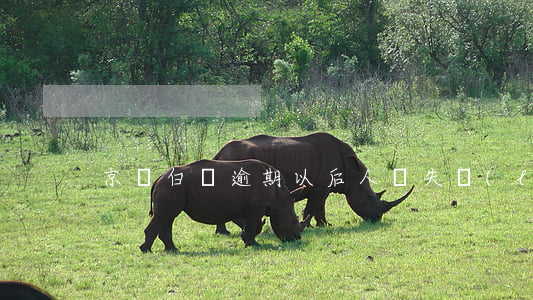 京東白條逾期以后人員失聯(lián)