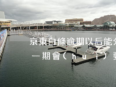京東白條逾期以后能分期嗎-京東白條逾期一期會(huì)要求還清所有的分期嗎?