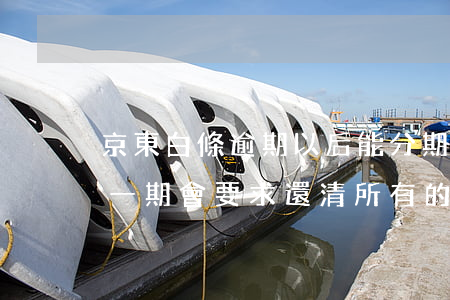 京東白條逾期以后能分期嗎-京東白條逾期一期會要求還清所有的分期嗎?