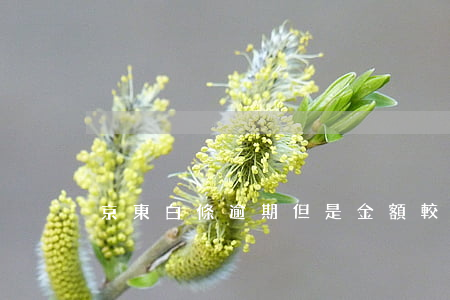 京東白條逾期但是金額較小