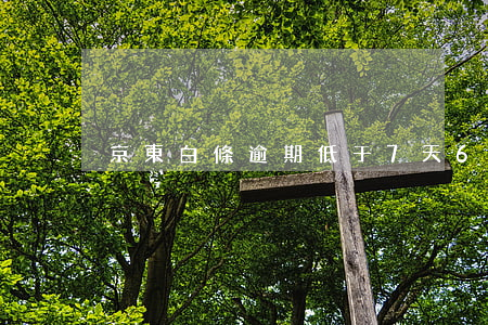 京東白條逾期低于7天6(京東白條逾期六天)