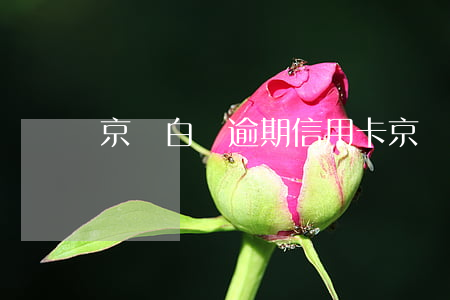 京東白條逾期信用卡(京東白條逾期信用卡能辦嗎)