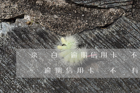 京東白條逾期信用卡會不會有影響-京東白條逾期信用卡會不會有影響征信