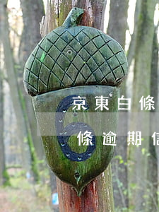 京東白條逾期信用卡能申請下來嗎-京東白條逾期信用卡能申請下來嗎安全嗎