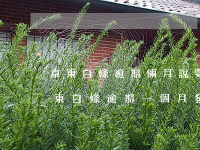 京東白條逾期倆月說要發(fā)律師函（京東白條逾期一個月發(fā)律師函給我）