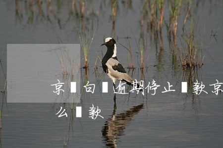 京東白條逾期停止還款(京東白條被停用了,怎么還款)